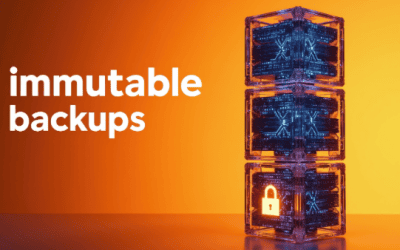 What Immutable Backup Means on Your Cyber Insurance Form